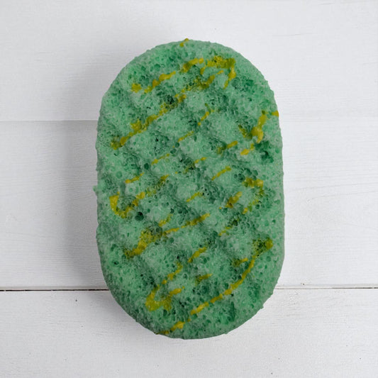 Citrus & Oak - Soap Sponge