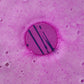Enchanted Fairy - Bath Bomb (x5)
